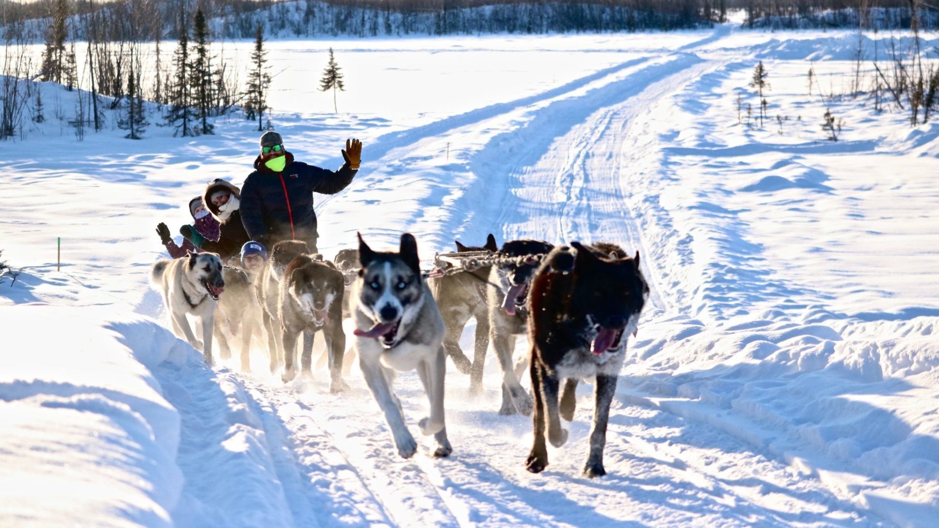 About Us Alaska Mushing School